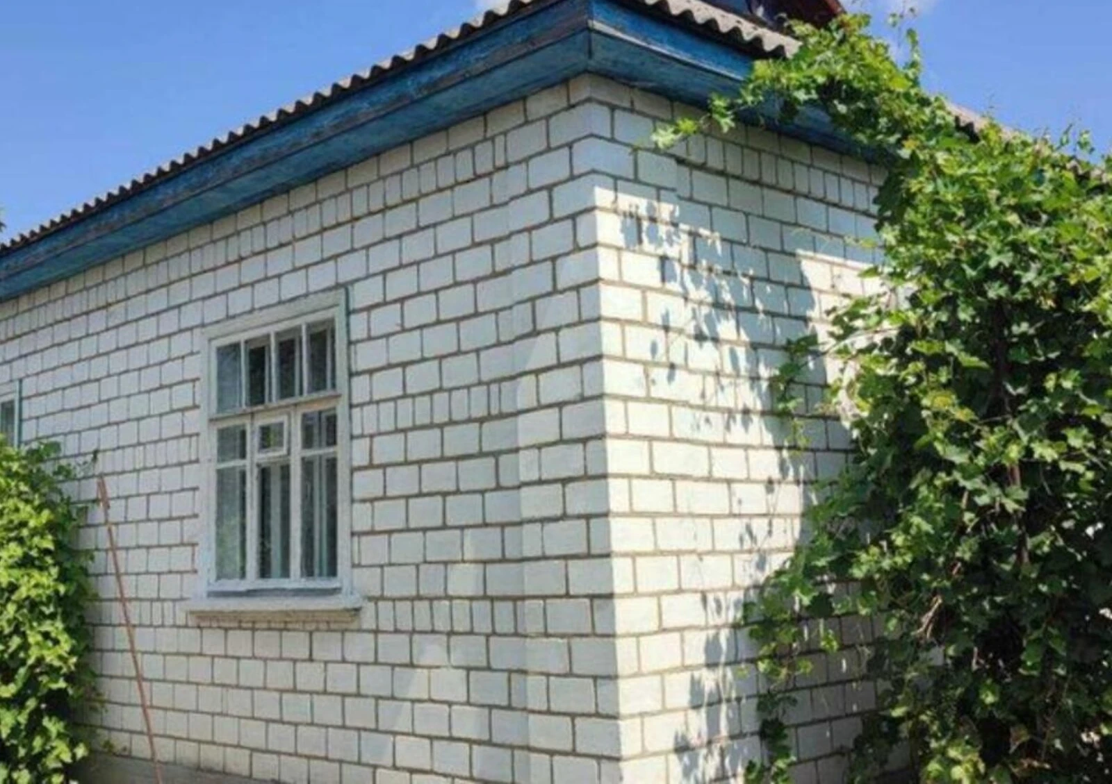 Дом, Гайворон: 15 соток, гараж во дворе, летняя кухня, фото 5