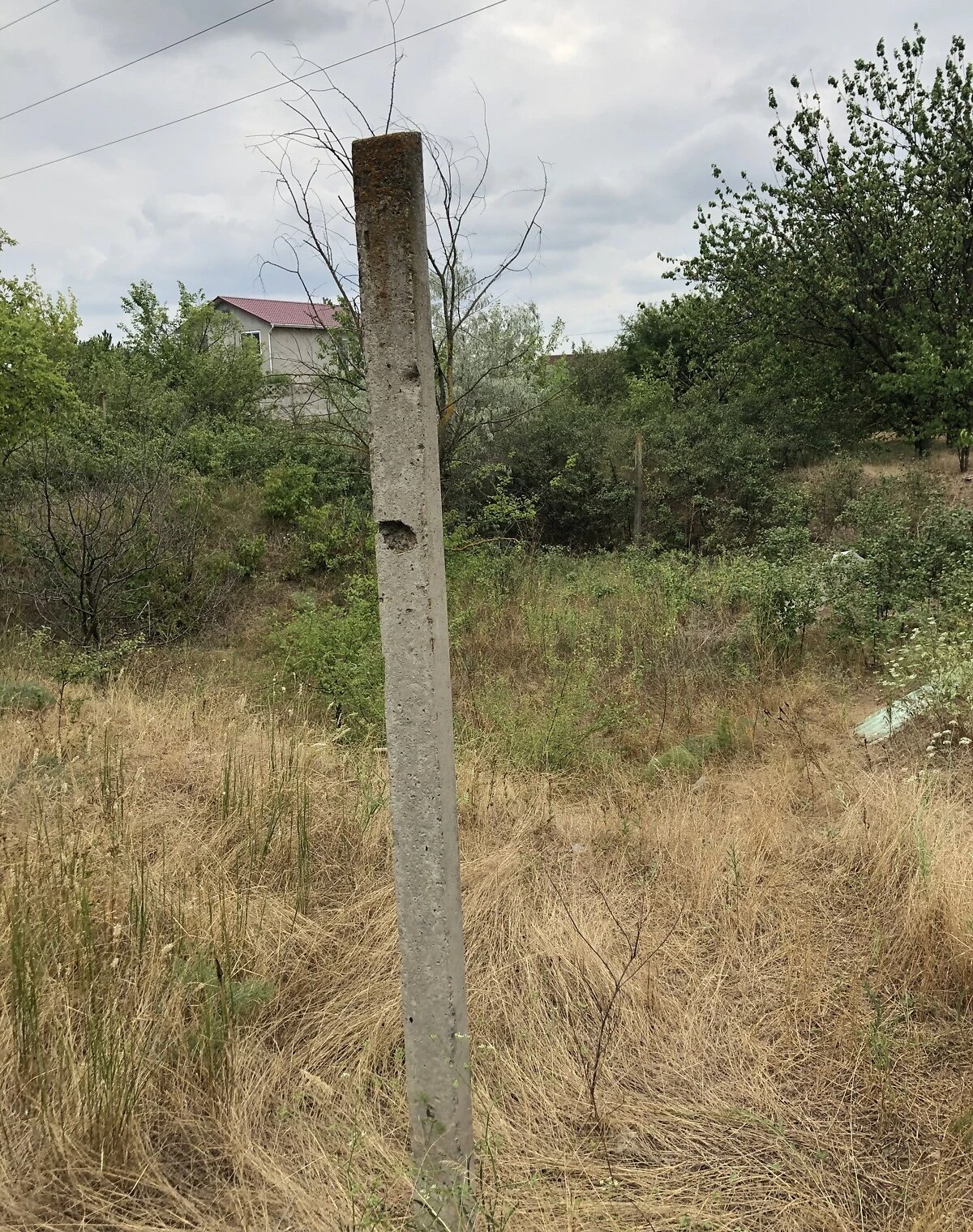 Ділянка 6 соток, Нова Долина: житлова забудова, садівництво - фото 3