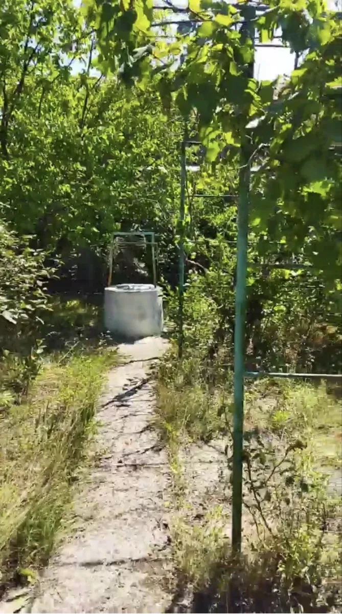 Дача, Прибережне: 2 ділянки, садовий будинок, свердловина, фото 3