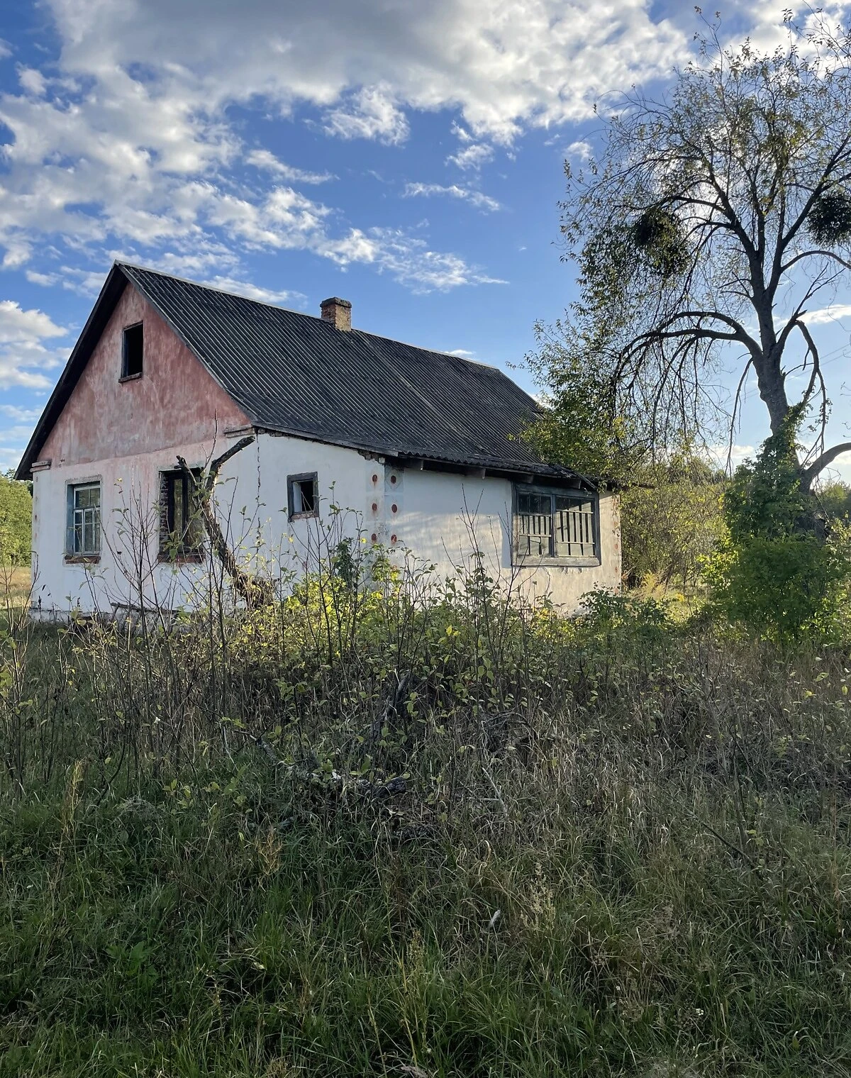 Дом, Маюничи, фото 5