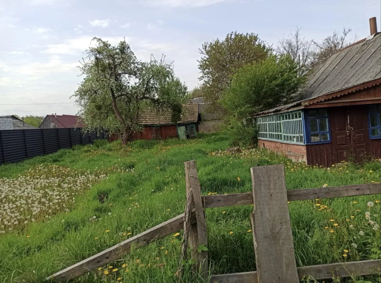 Дача, Звягель: под снос, летняя кухня, 11,7 сотки - фото 1