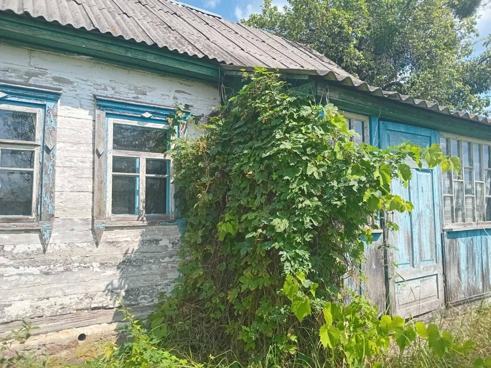 Будинок, Літки: садочок, 13 соток землі, 15 км від Коростеня