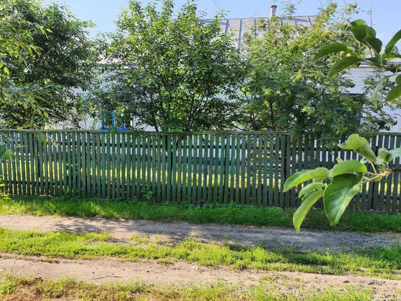 Будинок, Вільшана: озеро на першій лінії, два незалежні будинки - фото 4