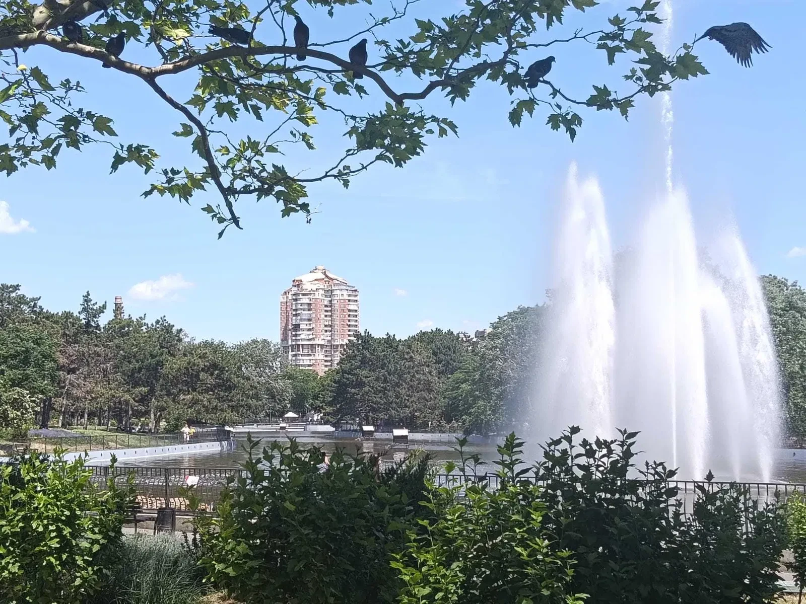 2-кімнатна квартира у ЖК Кукуруза: генератор, підземний паркінг, вид на парк - фото 5