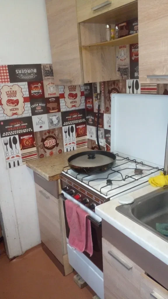 Частина будинку, Новокодацький: гараж, 4 сотки, кіт і пес - фото 2