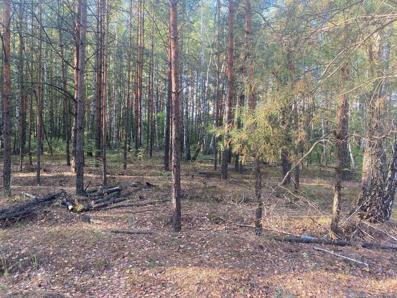 Участок 500 соток, Козин: в лесу, жилая застройка - фото 3