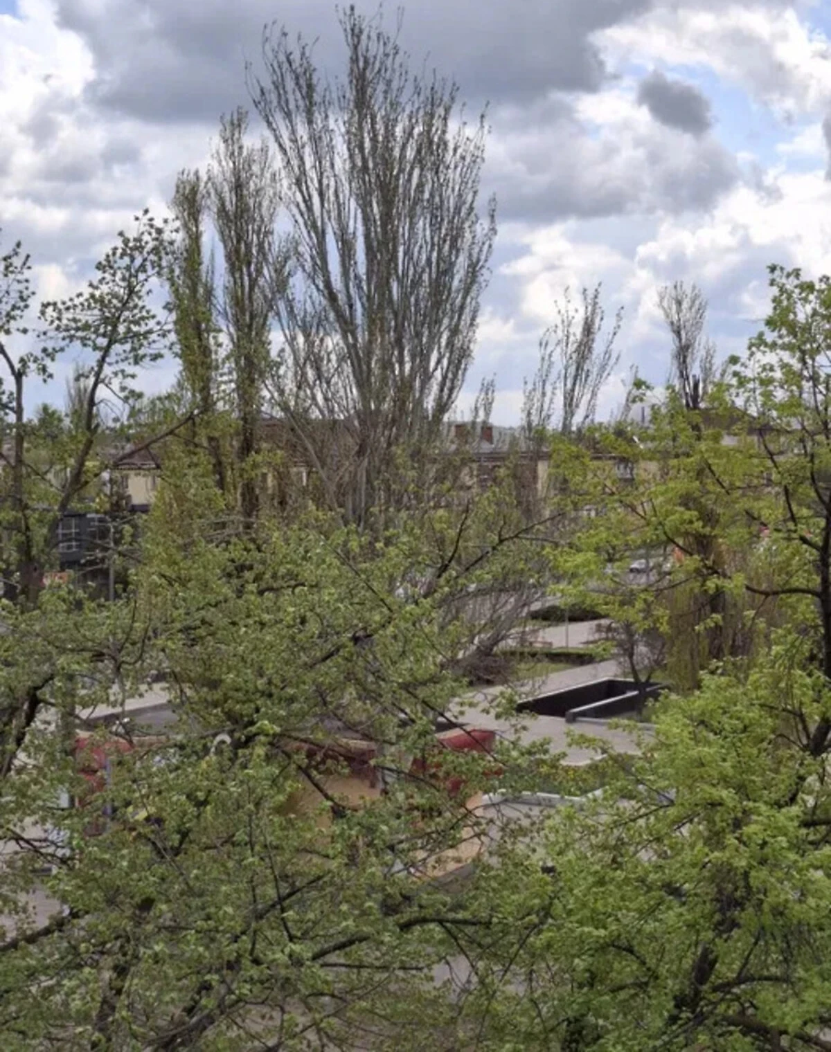 1-кімнатна квартира, Кривий Ріг: кухня-студія, балкон - фото 1