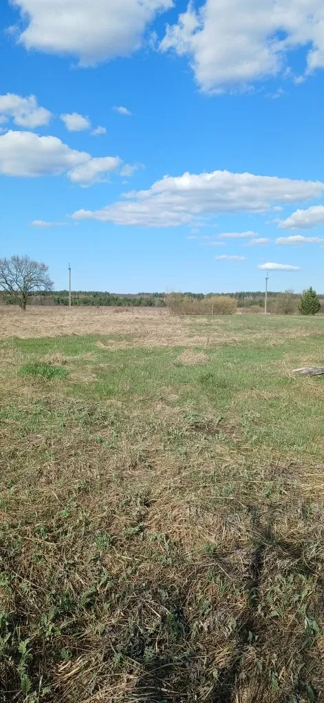 Ділянка 38 соток, Бабинці: під забудову, газ по вулиці - фото 3