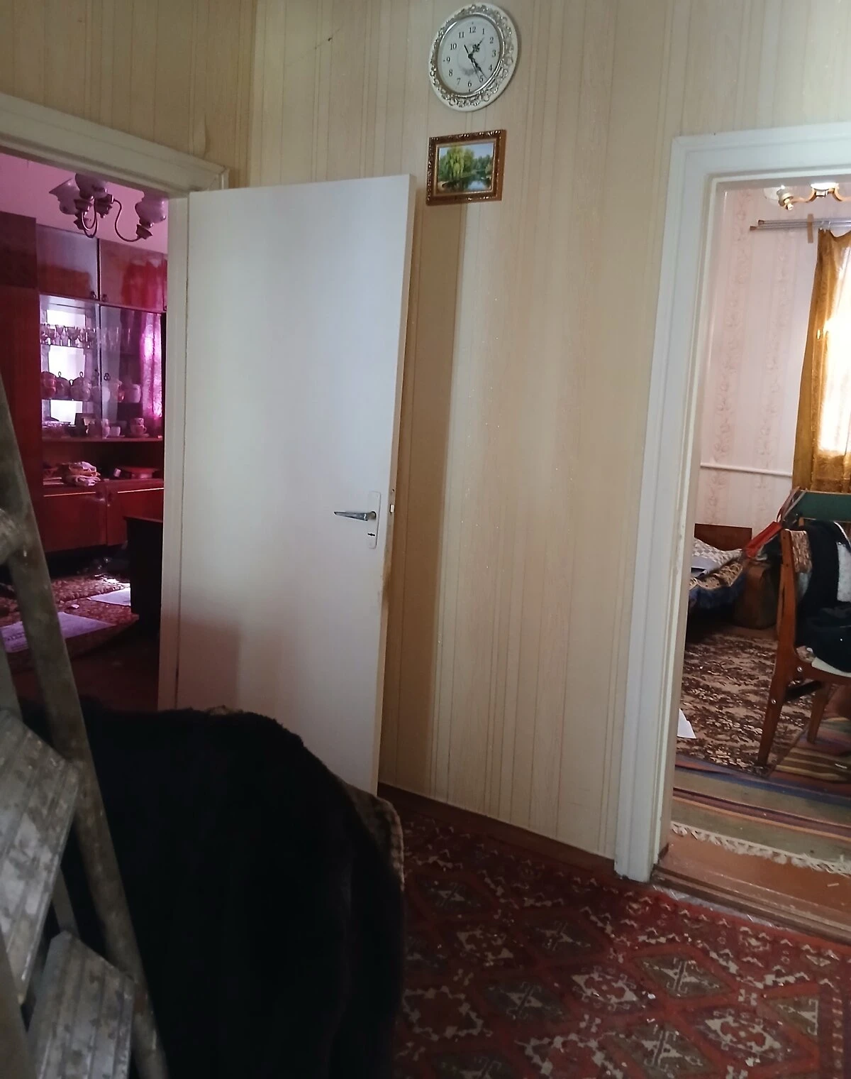 Будинок, Шевченківський: літня кухня, погріб, водопостачання без світла - фото 4