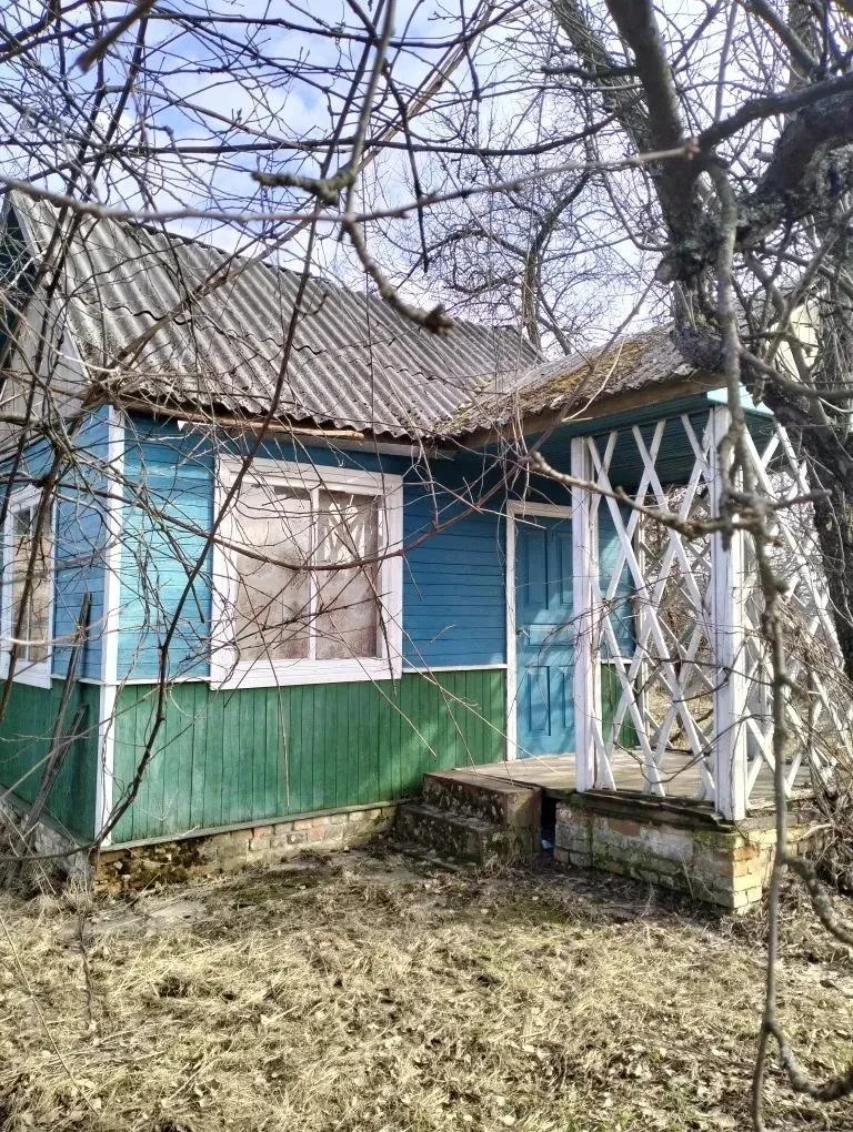 Дача, Чернігів: приватизована ділянка, світло і вода - фото 3