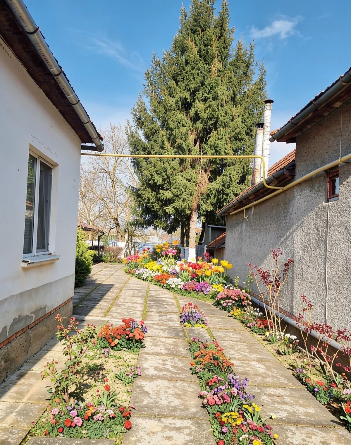 Будинок, Балажер: 25 соток, гараж із підвалом, 3 спальні - фото 2