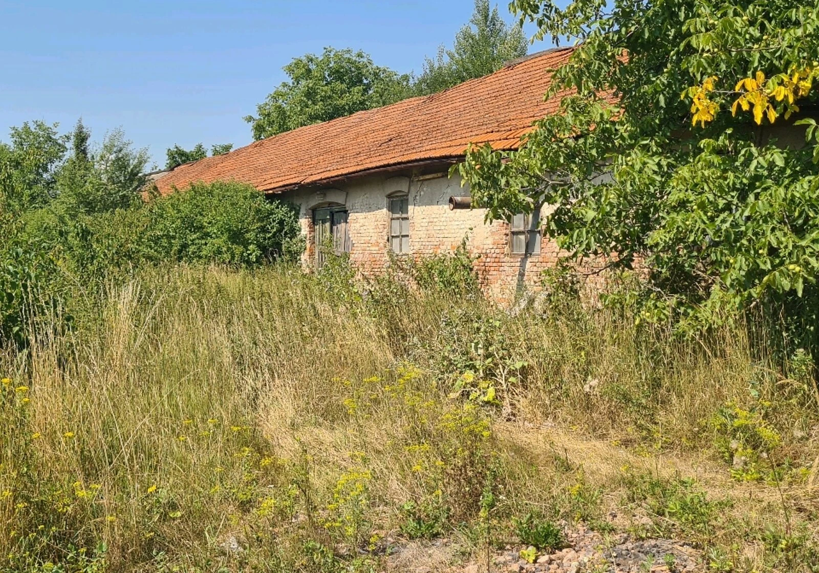 Помещение, Коломыя: фасадное, участок 3 гектара - фото 3
