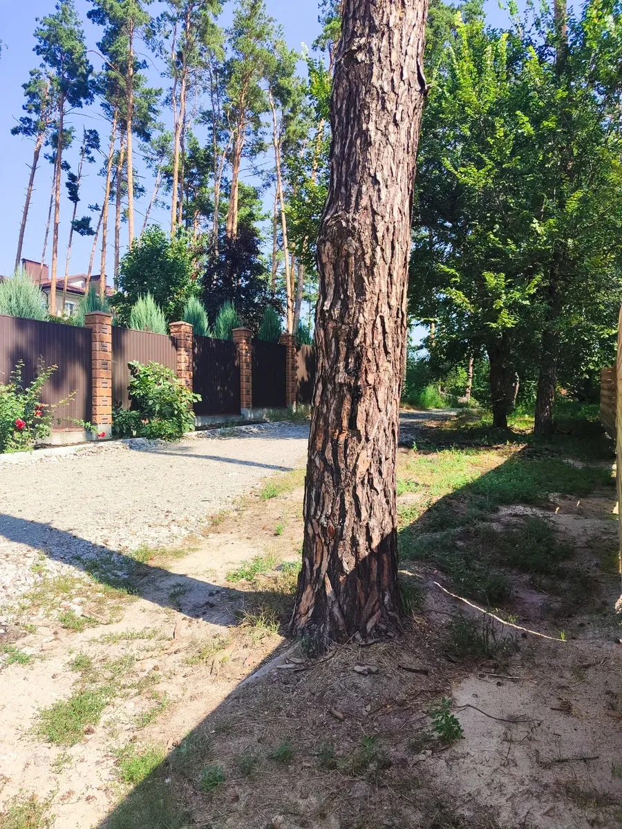 Ділянка 10 соток, Лісова Буча: під забудову, газ за 15 м - фото 4