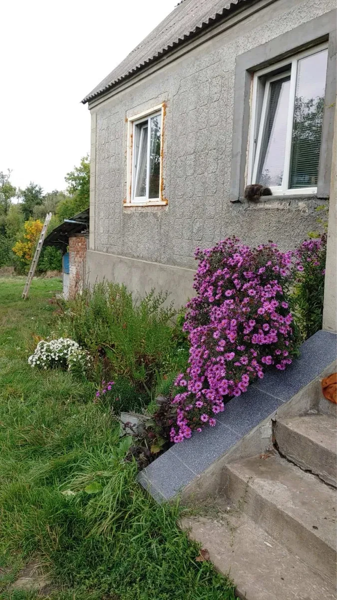Будинок, Вендичани: 50 соток, автонавіс, власна котельня