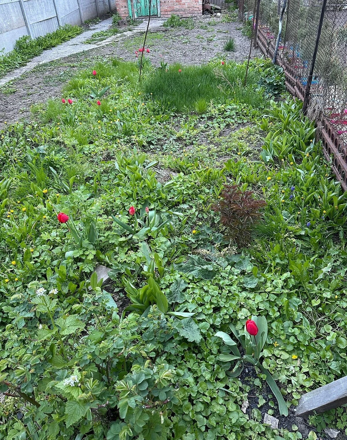 Часть дома, Юровка: бассейн, участок 261 м², отопление - фото 2