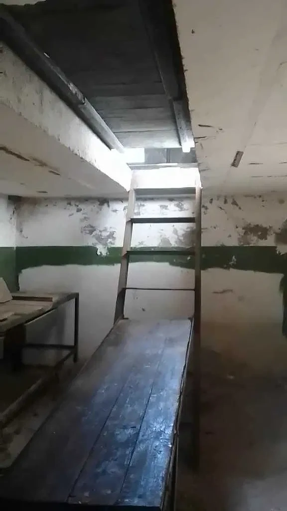 Гараж, Заводский: большой подвал, торг - фото 2