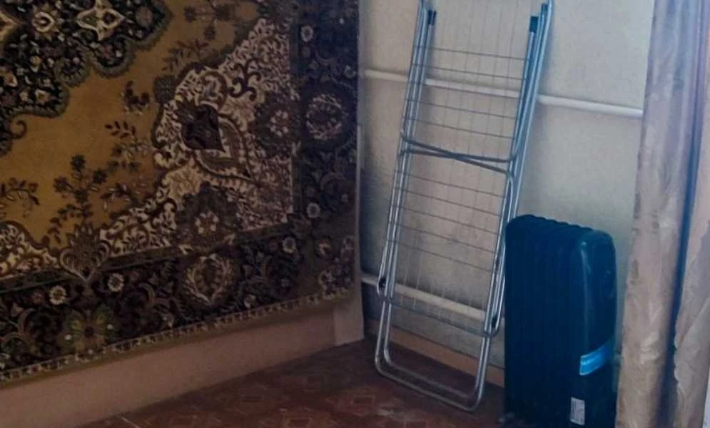 Будинок, Інгульський: два будинки, гараж 26,5 м², торг - фото 2