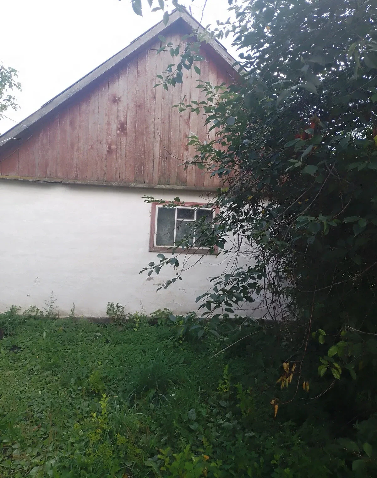 Будинок, Закутинці: 40 гектарів, індивідуальне опалення - фото 3