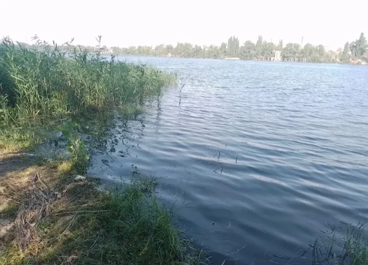 Дача, Власівка: хвилина до води, цегляний сарай - фото 1