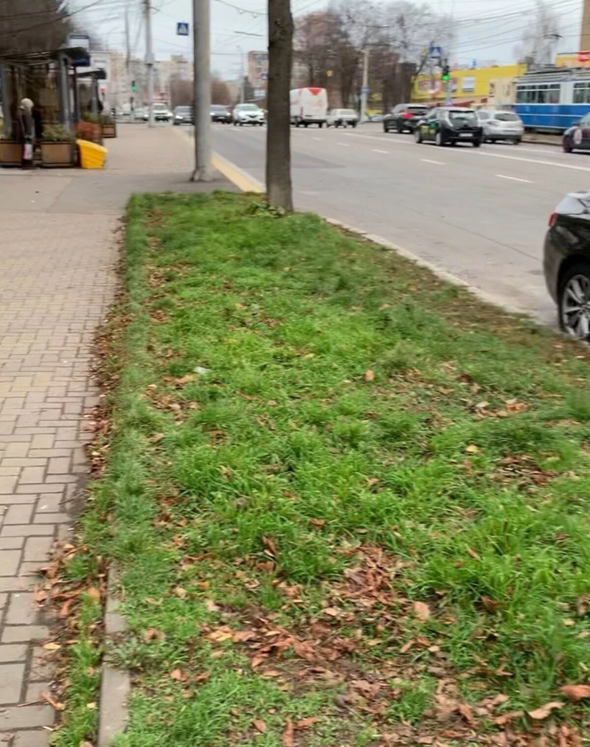 Приміщення, Вишенька: фасадне, відкрита стоянка, можлива оренда частинами - фото 3