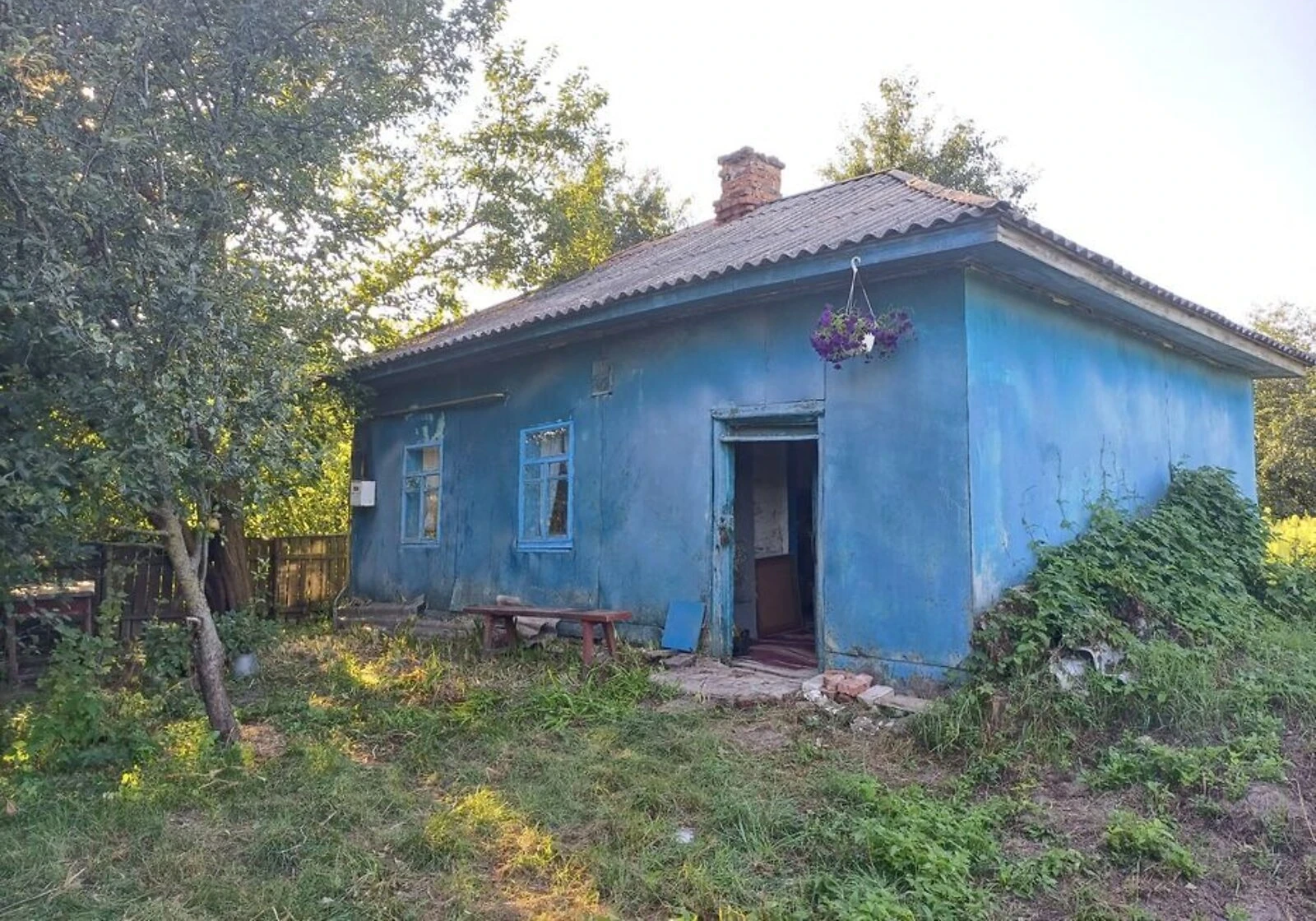 Будинок, Виблі: 24 сотки, сарай і погріб - фото 2