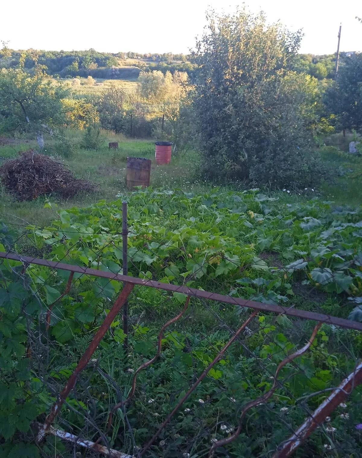 Ділянка 5.45 соток, Сурсько-Литовське: під гараж, садове товариство, фото 5