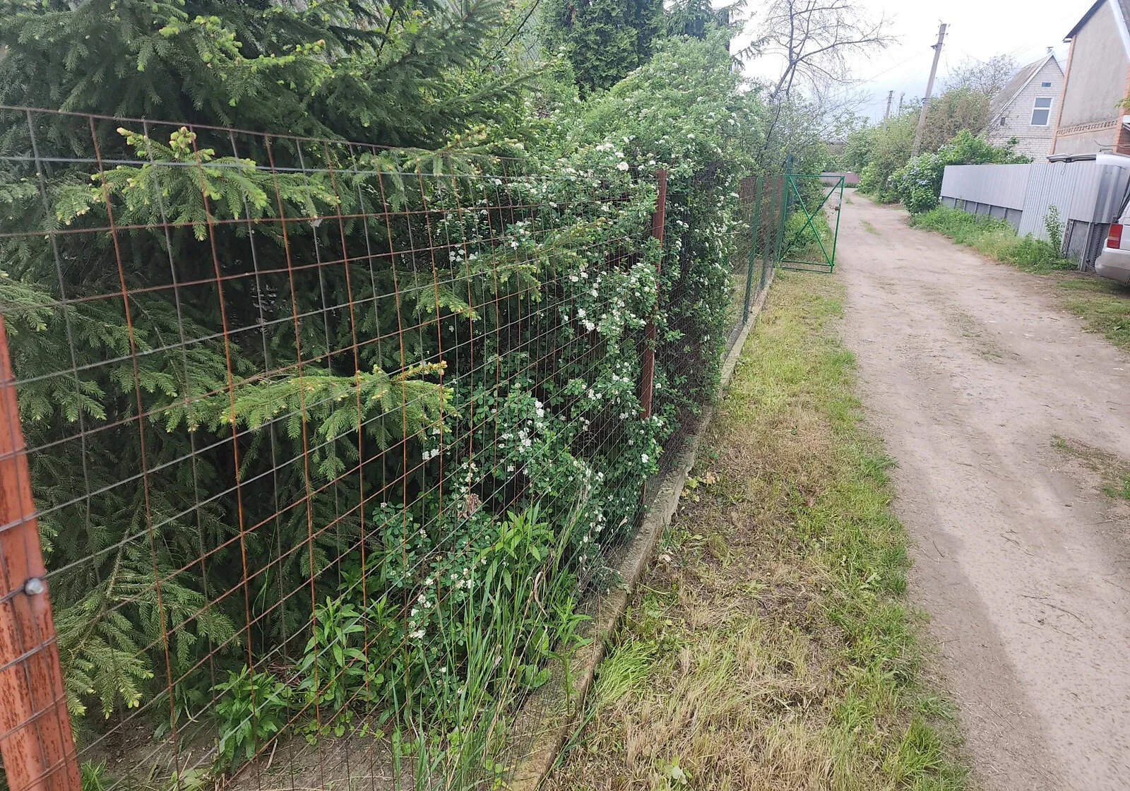 Дача, Садівниче товариство "Будівельник": ділянка 6 соток, цегляні стіни - фото 4
