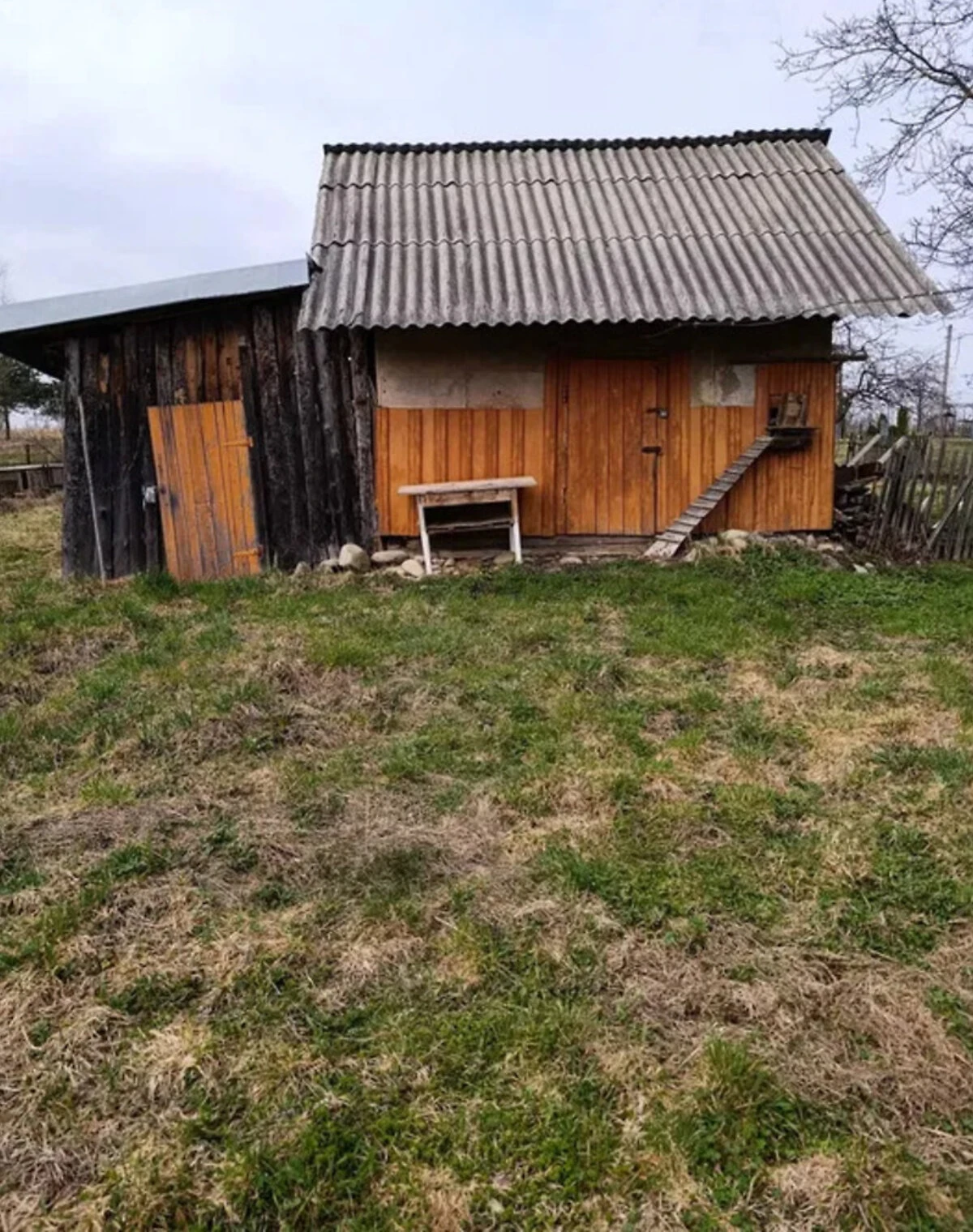Дача, Рожнятів: город і сад, криниця, електрика - фото 2