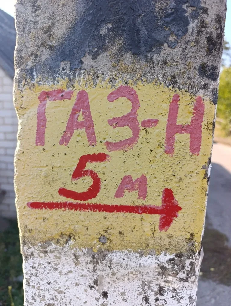 Будинок, Виповзки: 44 сотки, під реконструкцію, фото 5