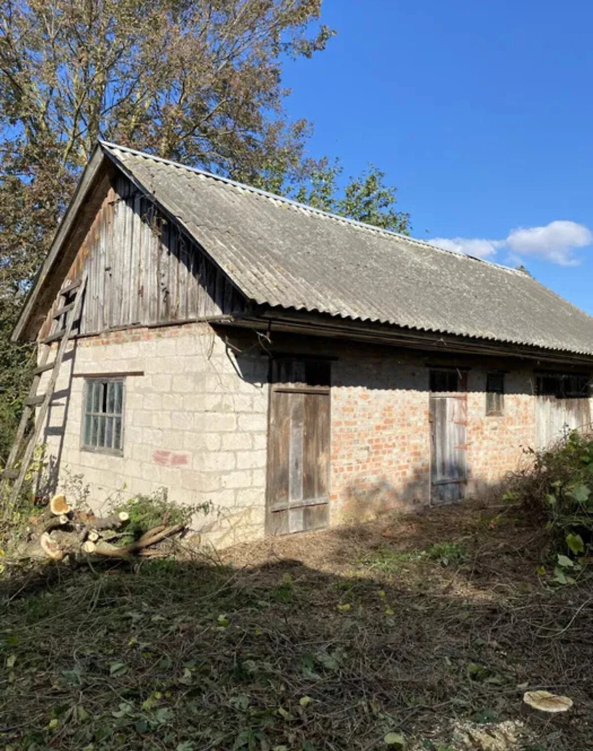 Дом, Березна: участок 10 соток, сад и погреб - фото 1