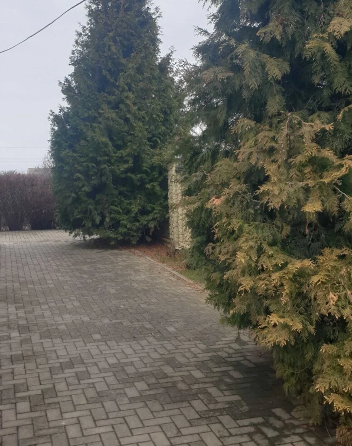 Дом, Вольногорск: гараж с подвалом, спортзал, сад - фото 4