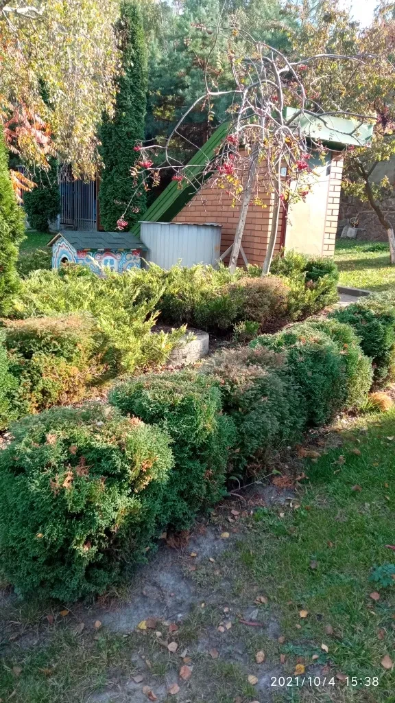 Коттедж, Крячки: бассейн, солнечные панели, генератор 30 кВт, фото 4