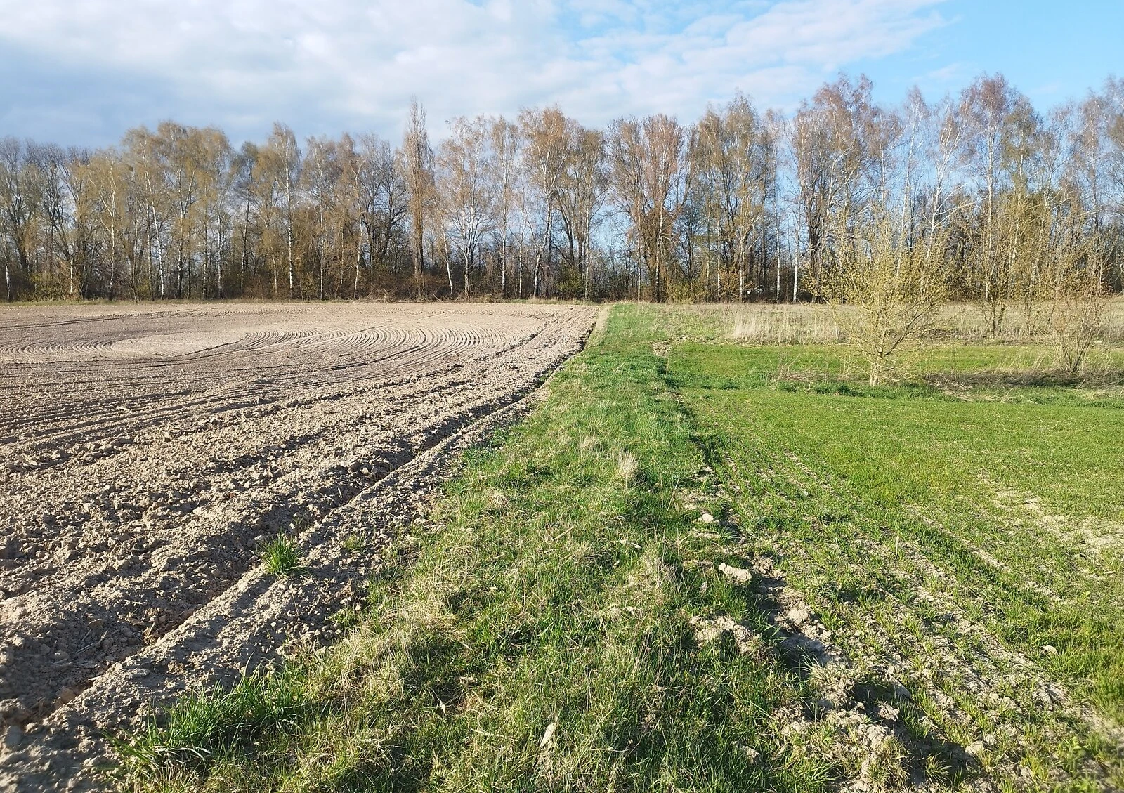 Ділянка 20 соток, Зоря: під житлову забудову, під гараж - фото 3