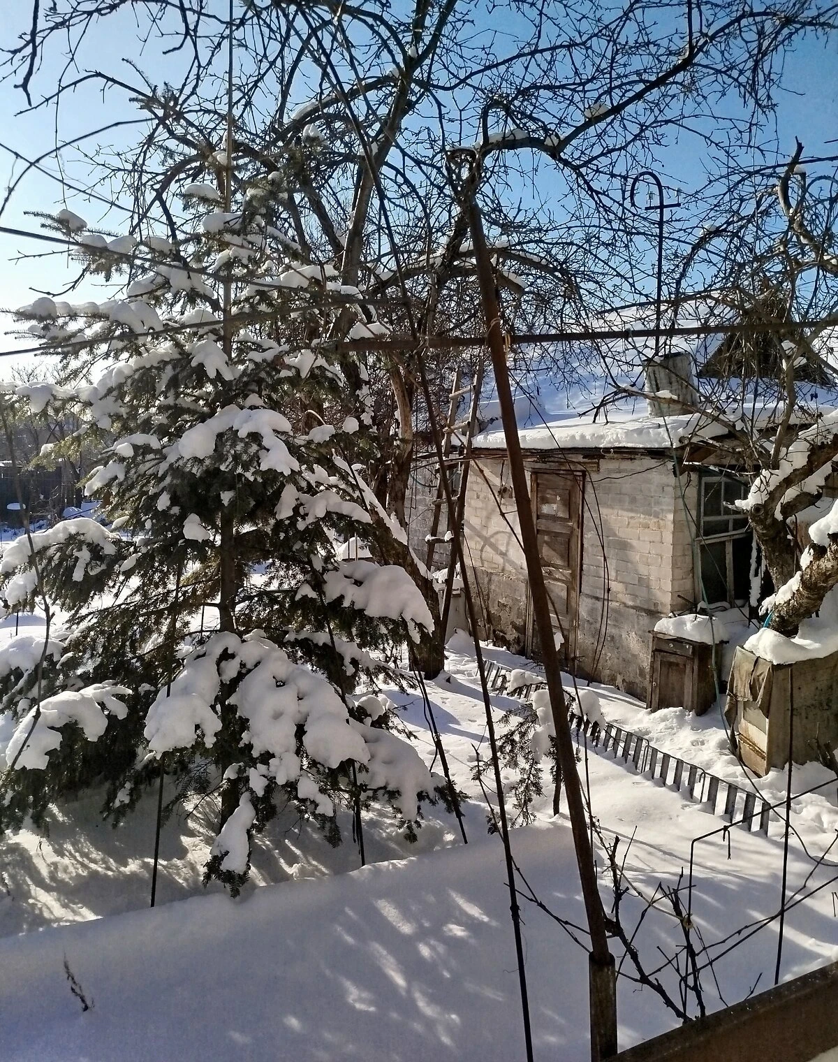 Дом, Амур: веранда, участок, фото 5