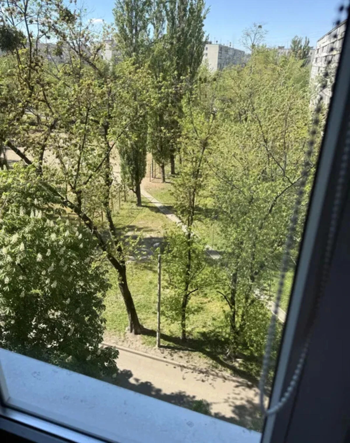 3-кімнатна квартира, Лісовий Масив: косметичний ремонт, балкон - фото 2