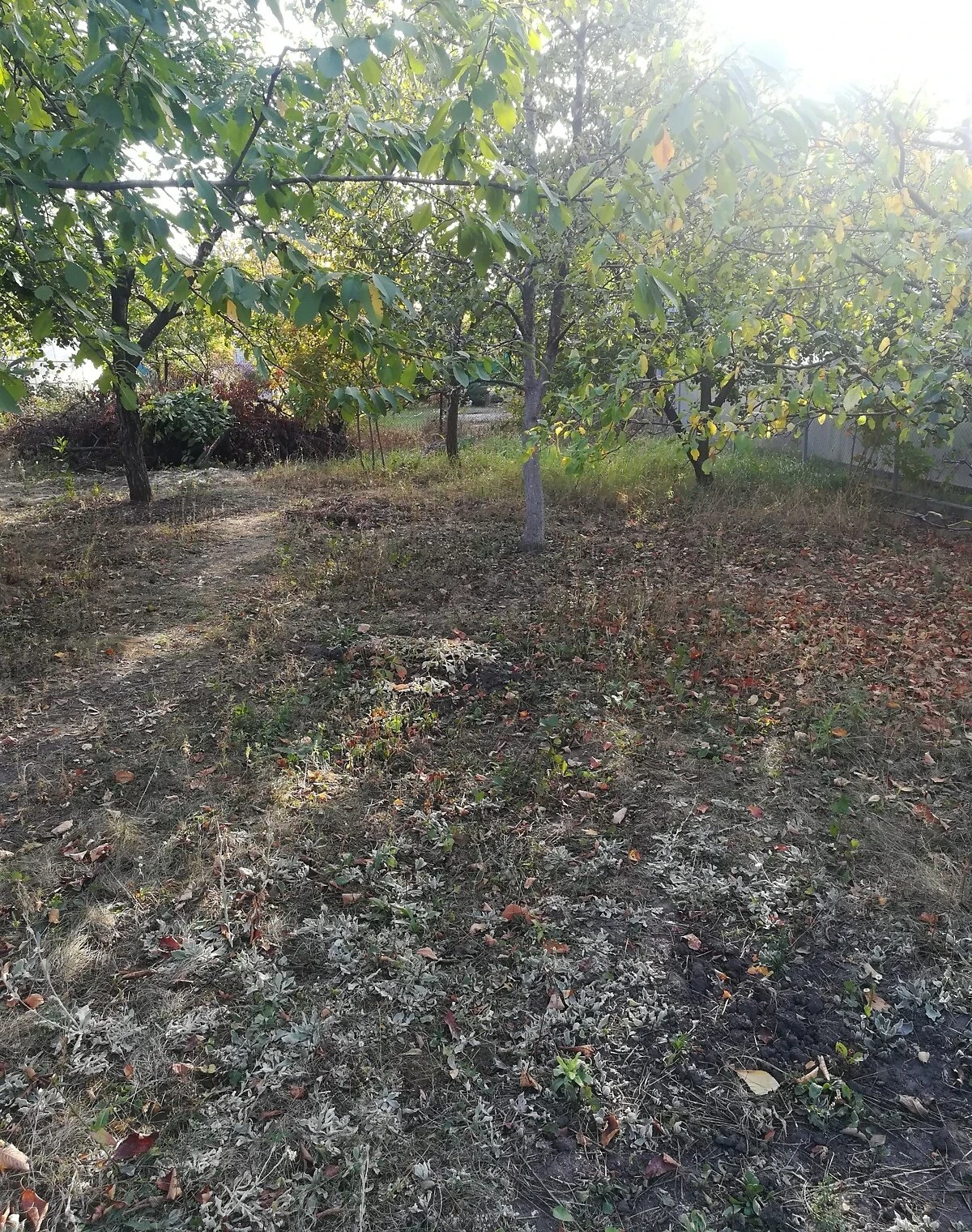 Ділянка 4.6 сотки, Підгороднє: сад і паркан, чорнозем - фото 3