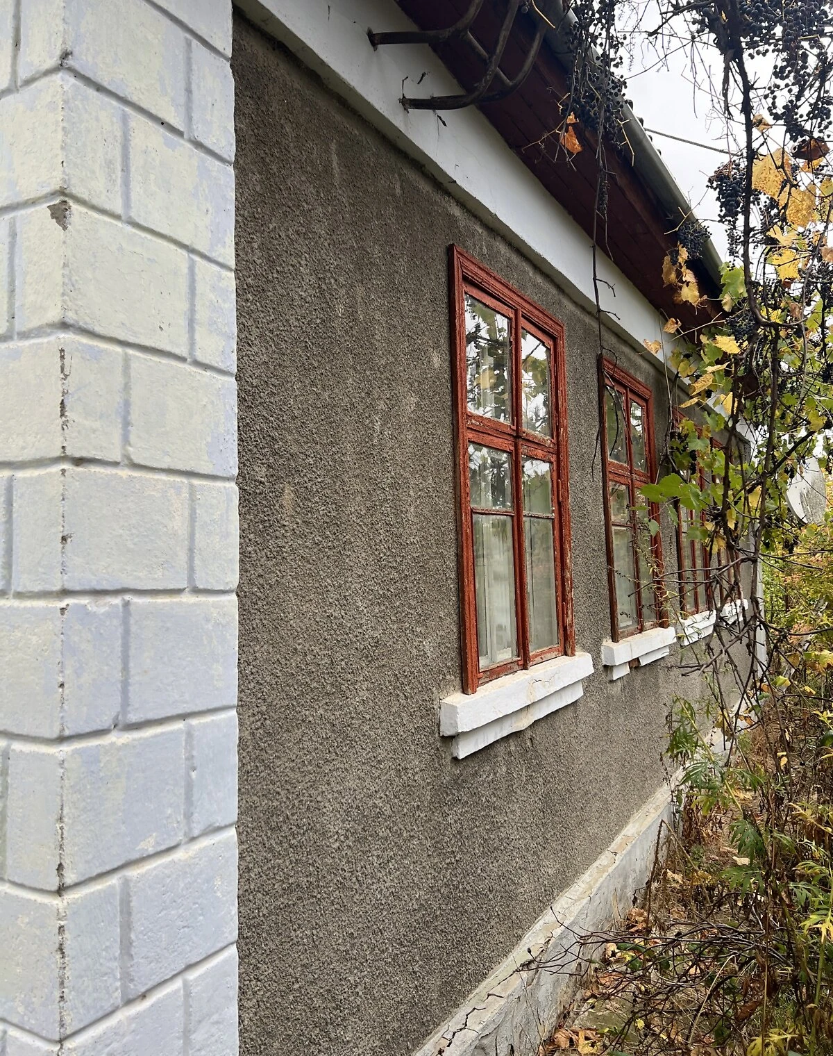 Будинок, Балта: ділянка 60 соток, потребує ремонту, фото 3