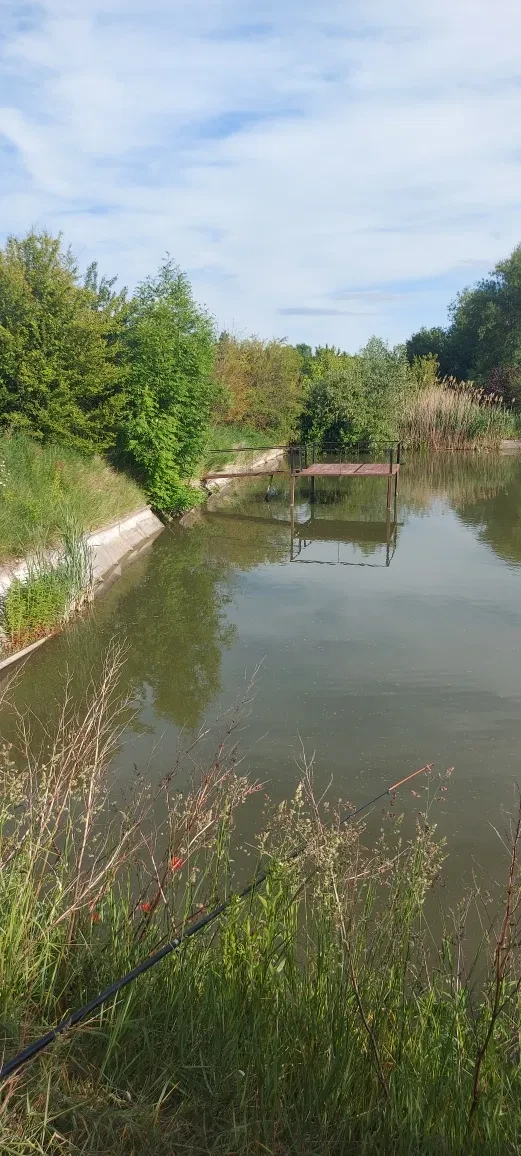Участок 10 соток, Ружичанка: пруд с рыбой, проточная вода - фото 4