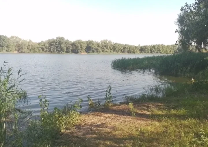Дача, Власівка: хвилина до води, цегляний сарай - фото 2