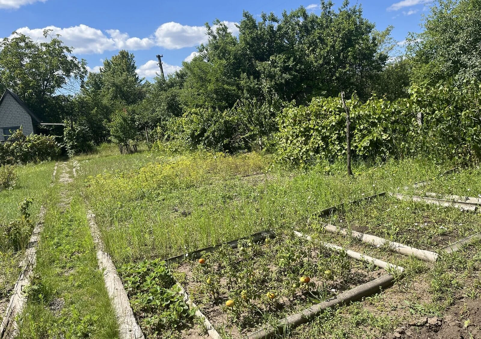 Дача, Кулебовка: беседка 13 м², скважина, фото 4