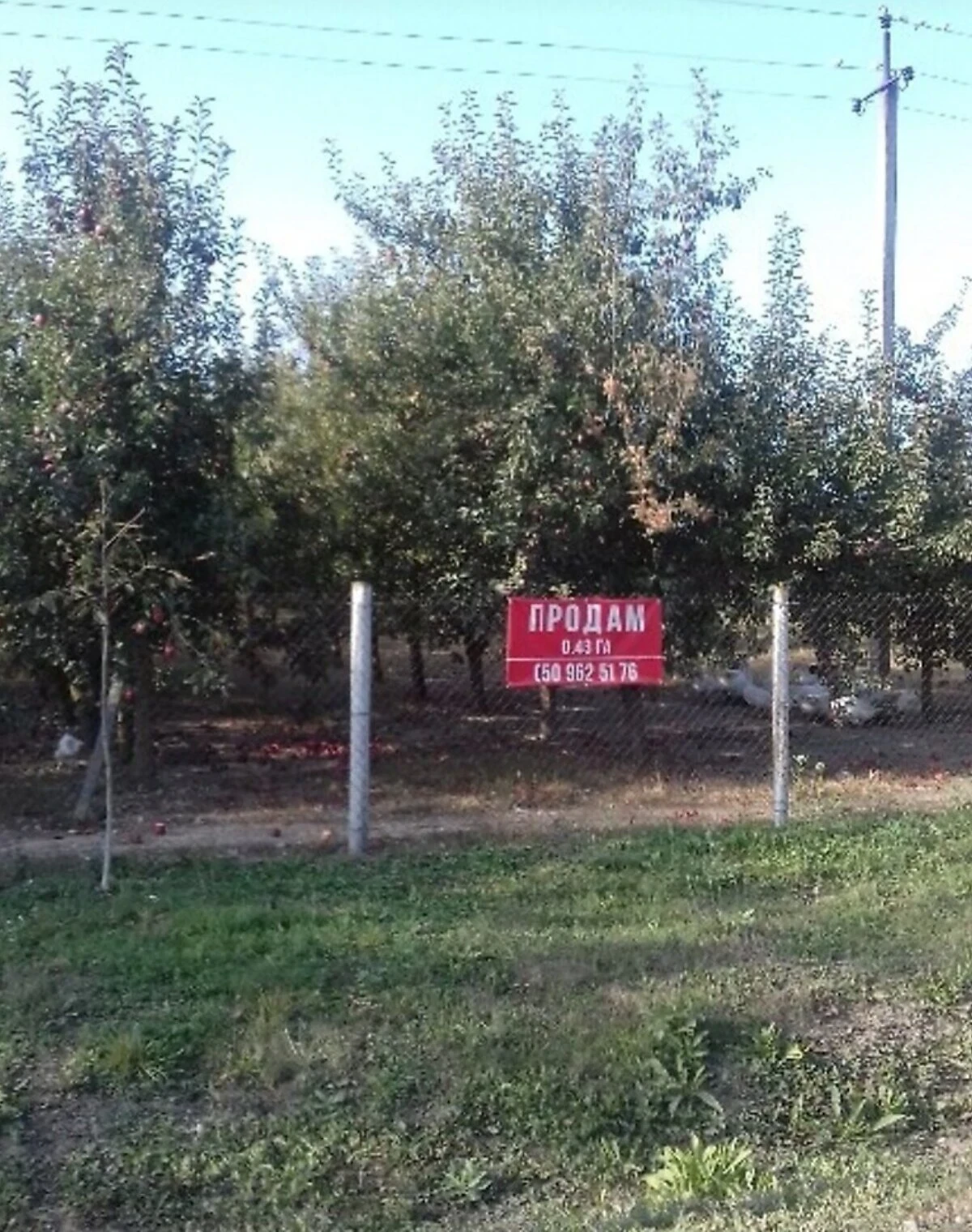 Ділянка 43 соток, Рідківці: під житлову забудову, 1-ша лінія - фото 2