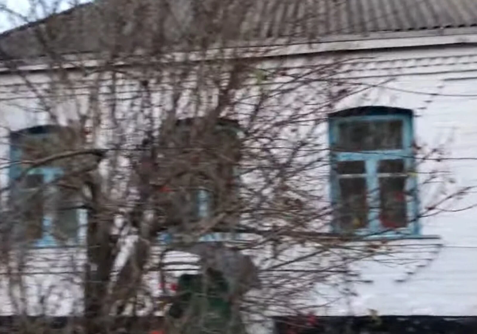 Будинок, Ржищів: веранда, 16 соток, єВідновлення - фото 1