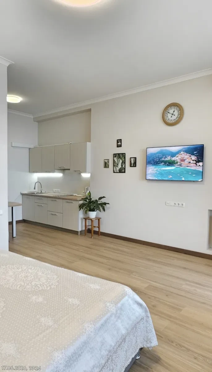 Студія у ЖК Аркадийский дворец: тераса, генератор, фото 4