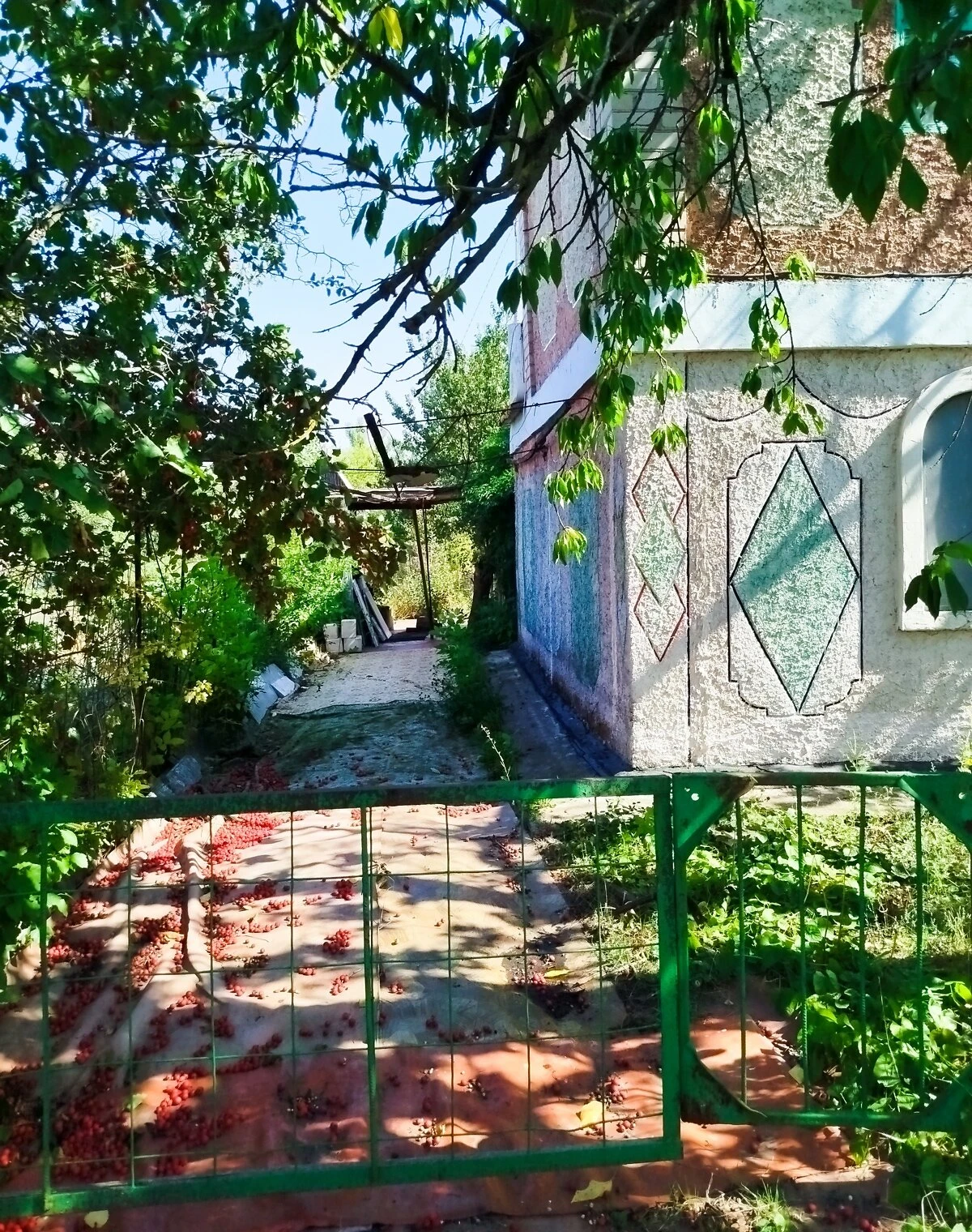 Участок 6 соток, Саксаганский: чернозём, ровный рельеф, фото 4