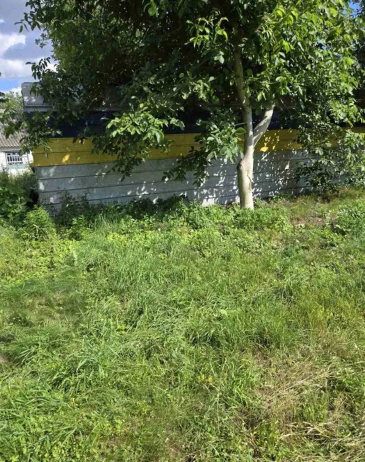 Будинок, Устимівка: дача, ділянка 48 соток, фото 5