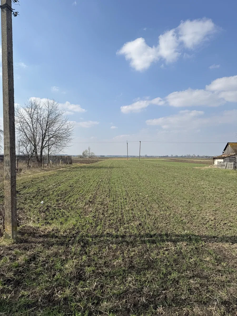 Ділянка 25 соток, Вербаїв: світло, газ за 4 м, асфальтована дорога - фото 1