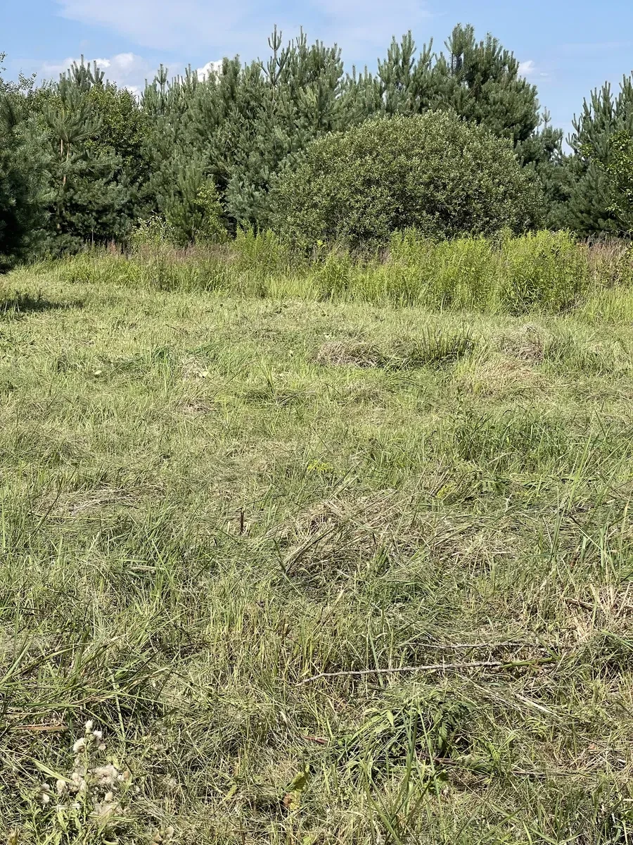 Ділянка 8 соток, Підрясне: житлова забудова, два заїзди - фото 2
