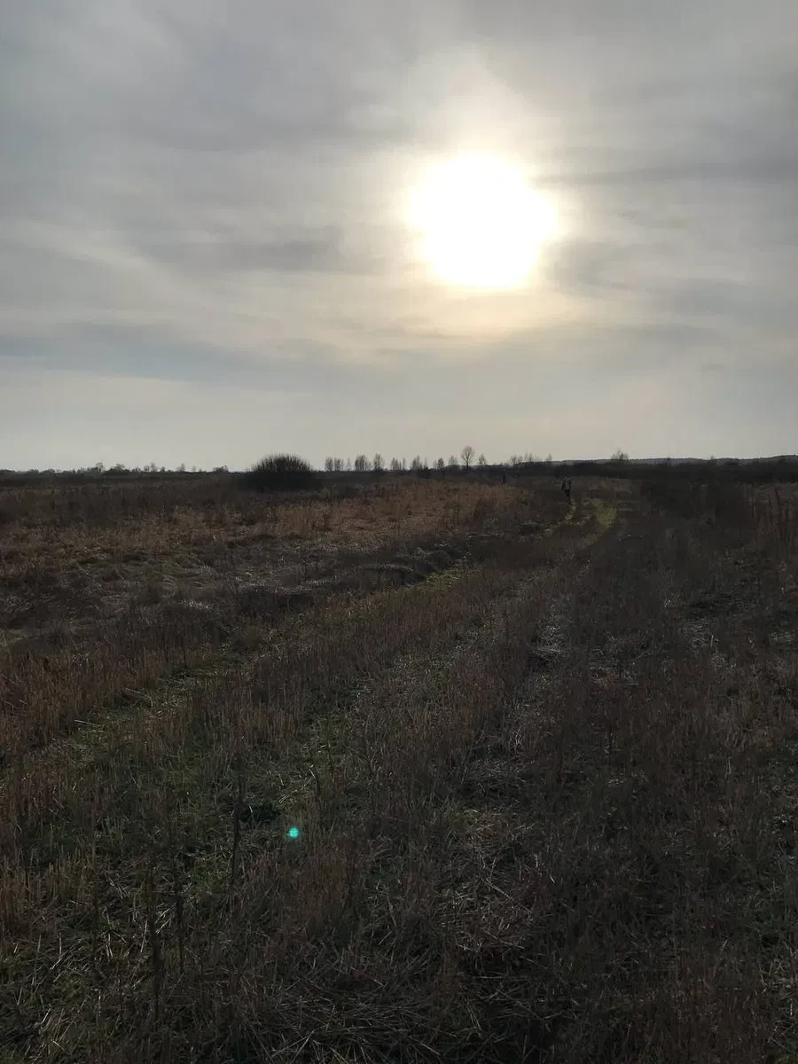Участок 109 соток, Нижняя Дубечня: ОСГ, между Десной и Днепром - фото 3