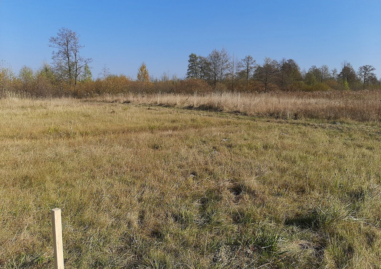 Ділянка 10 соток, вулиця Вільшанська: під житлову забудову, під гараж - фото 3