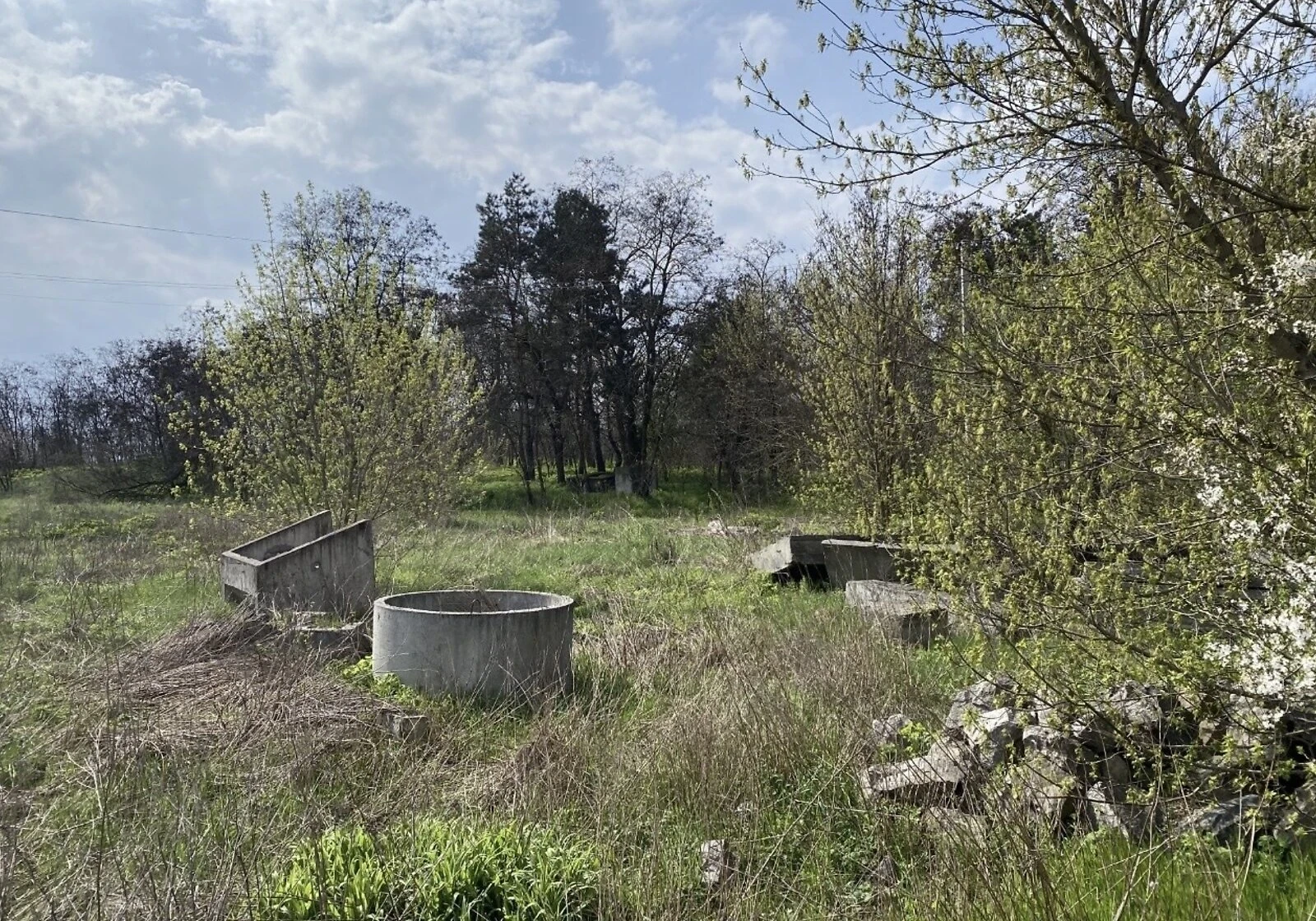 Ділянка 16.01 сотки, Маламівка: під житлову забудову, сад, чорнозем - фото 4